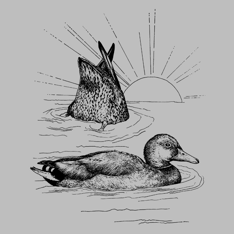 MALLARDS 