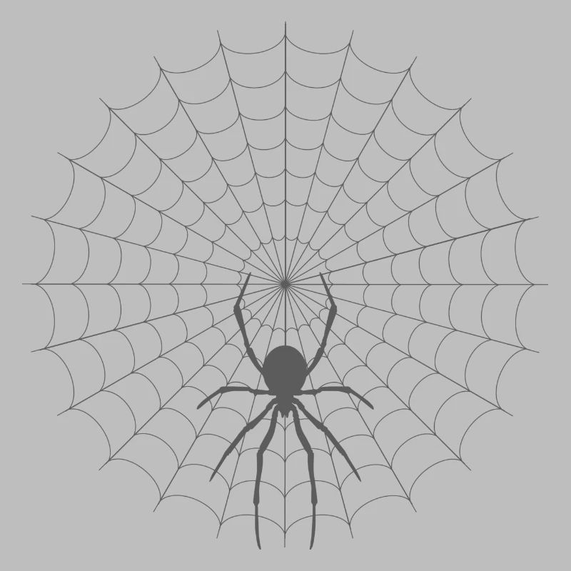 Spider Web Silhouette