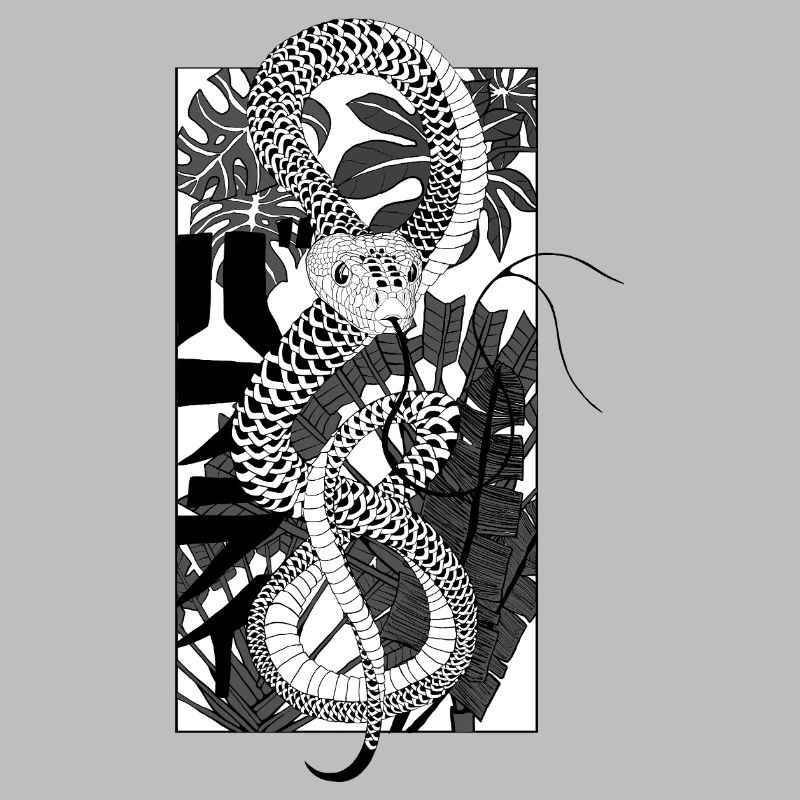 Snake 2