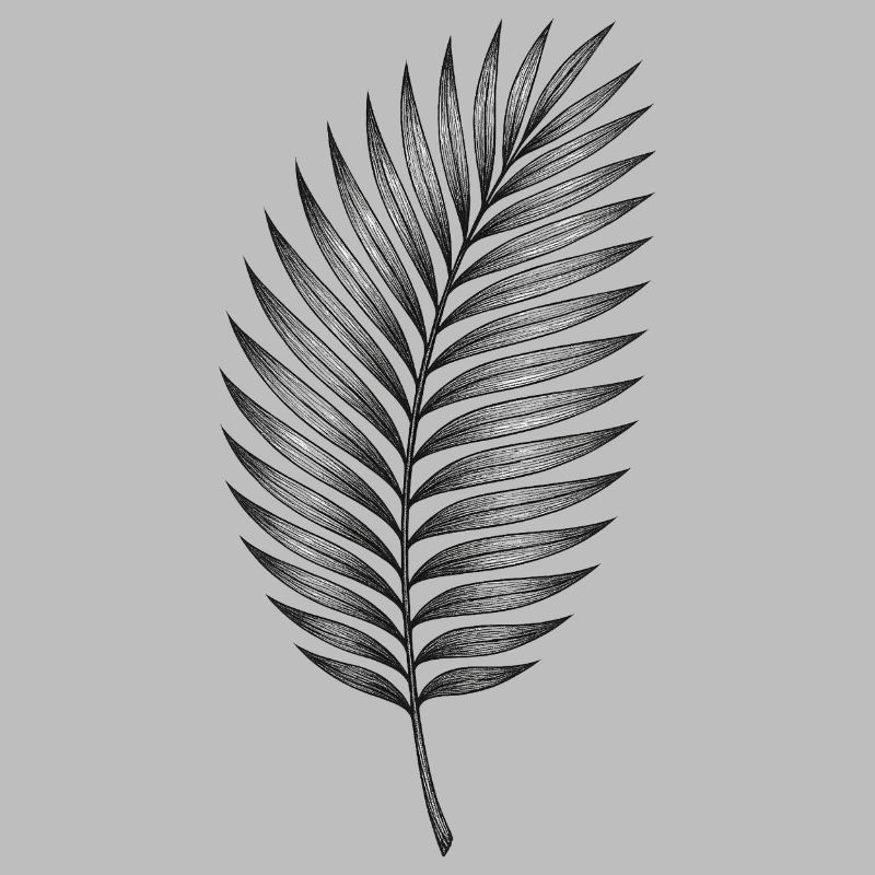 Black palm leaf pattern