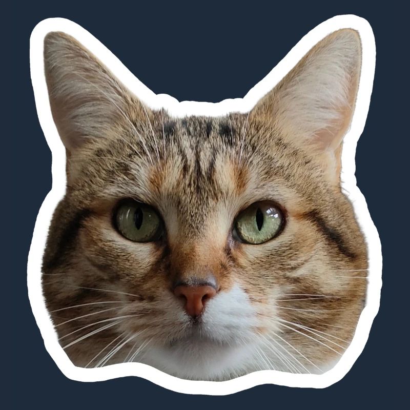 Sticker Missty