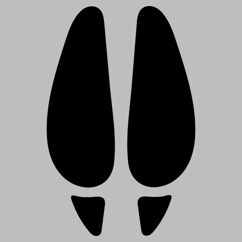 Empreinte de cerf