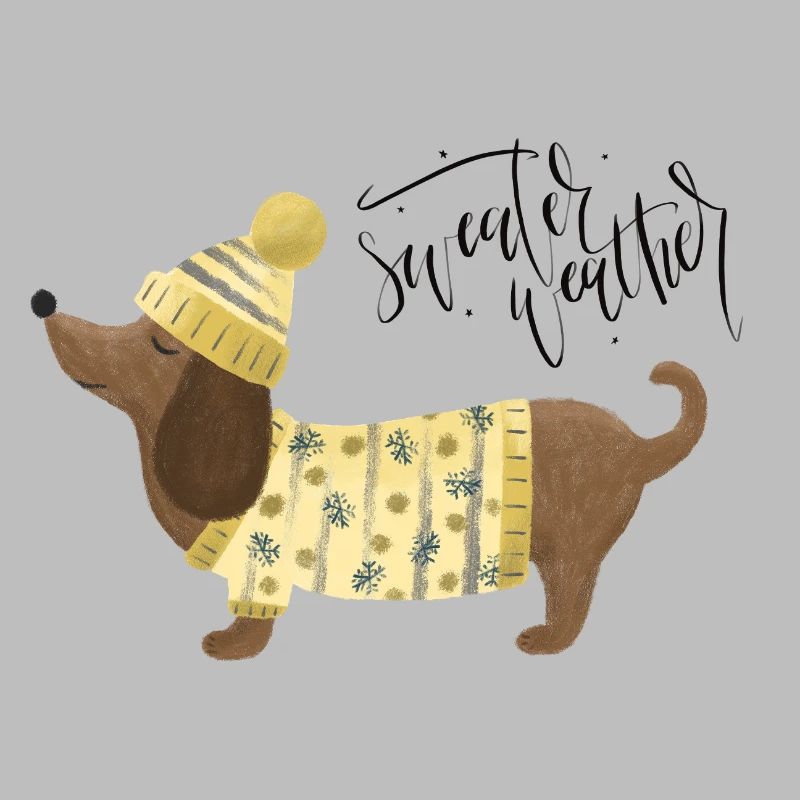 Teckel avec pull et chapeauSweater Météo jaune