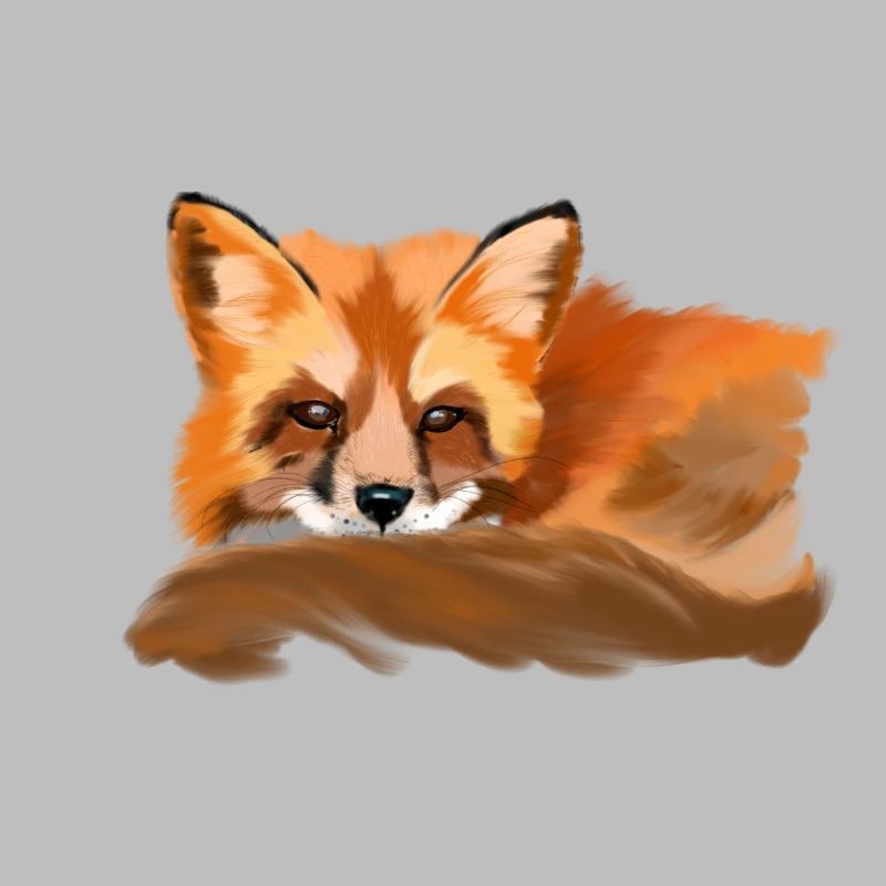 Fuchs