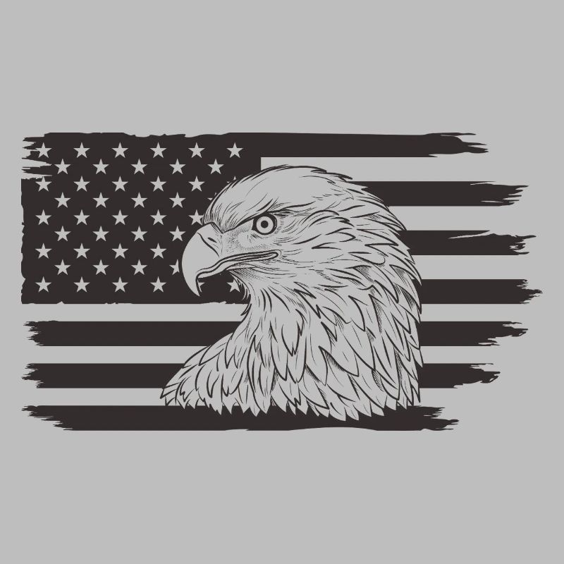 Aigle avec contour du drapeau américain