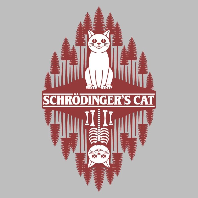Le chat de Schroedinger : une chose étrange