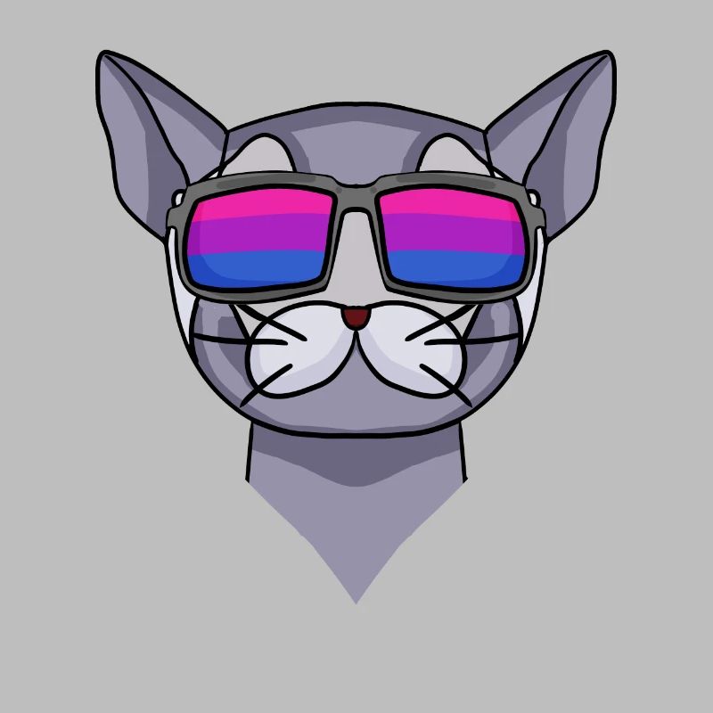 Bisexuell Britisch Kurzhaar Katze Geschenk
