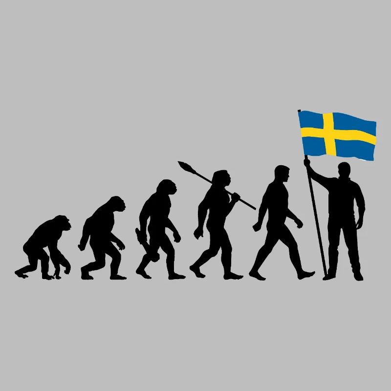 Sweden - Evolution - Flag - Nation