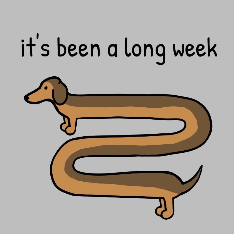 Ça a été une longue semaine, chien teckel