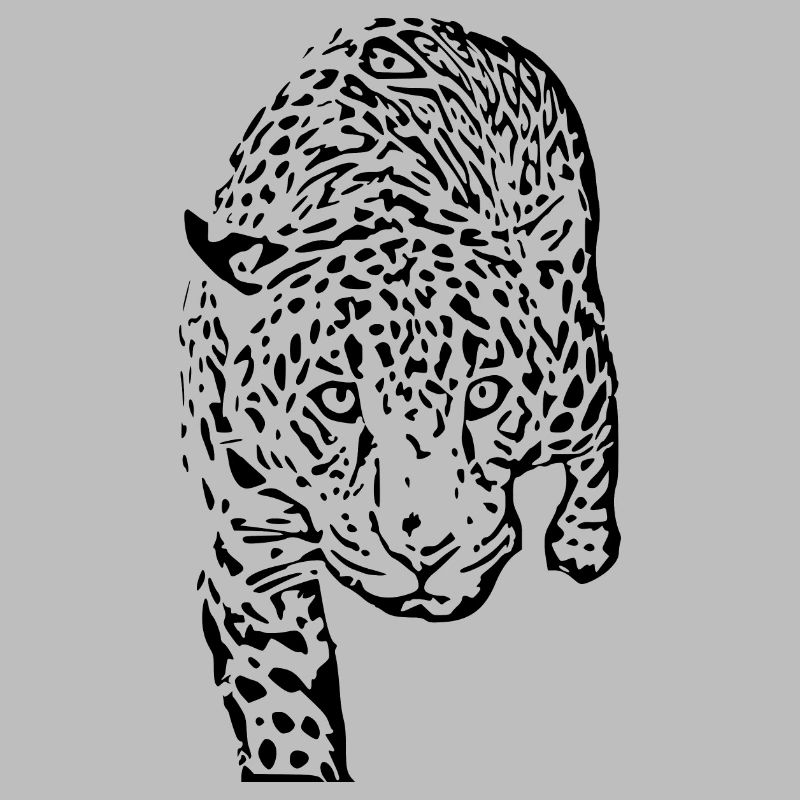 leopard schwarz schwarzer Leopard