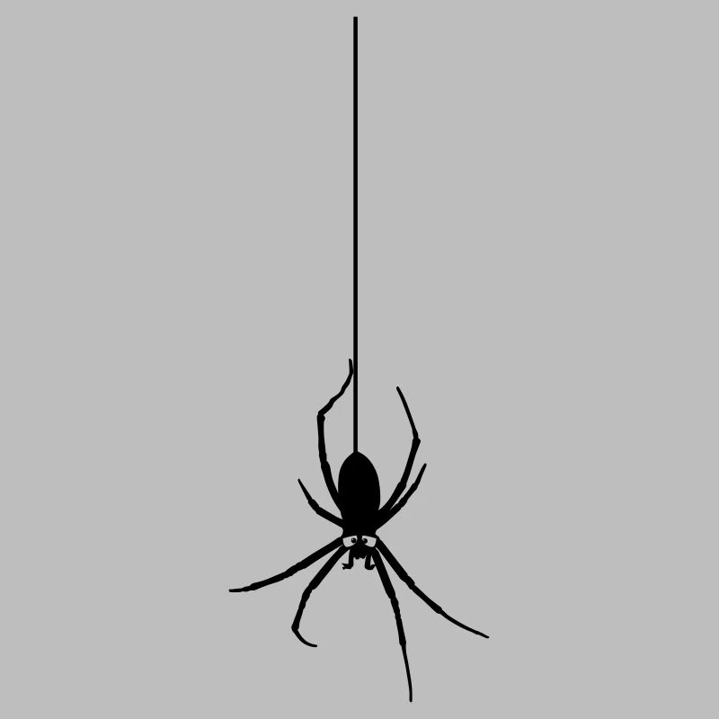 Araignée