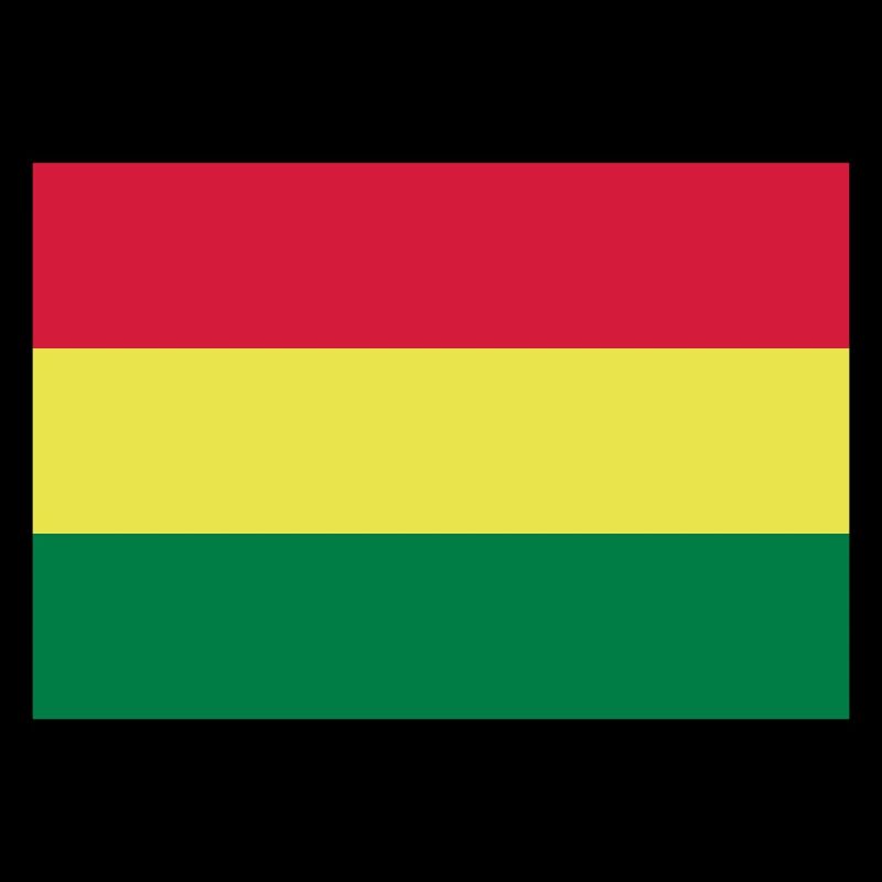 Bolivia flag / Drapeau Bolivie