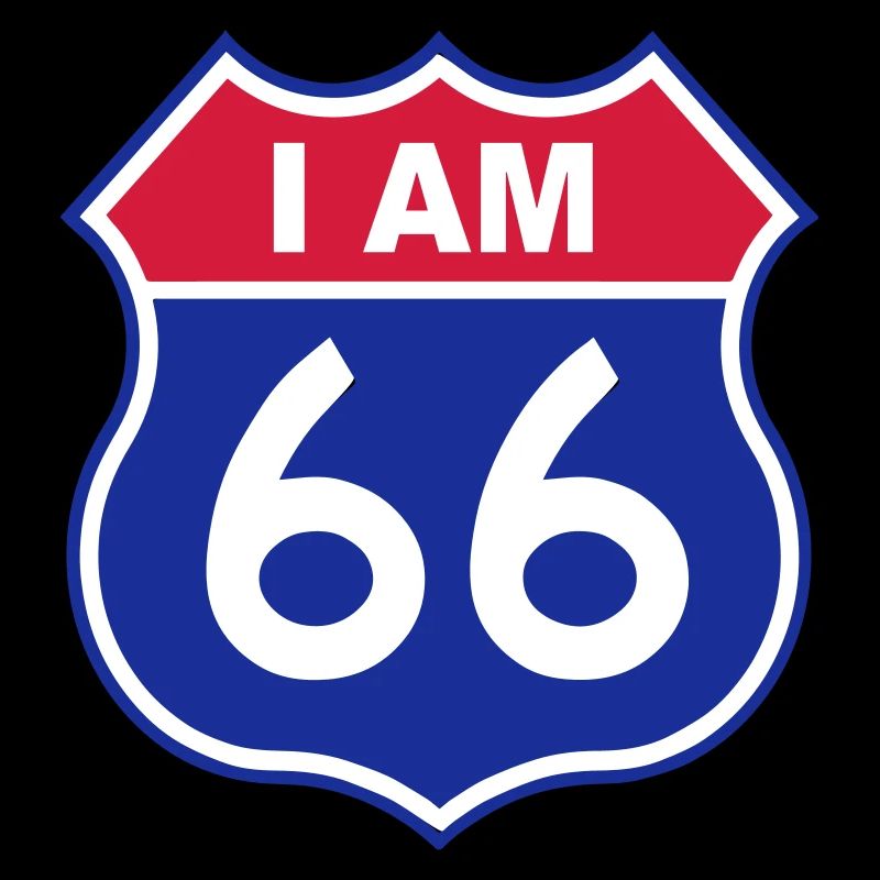 66