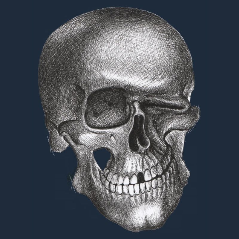Winking Skull - Skull
