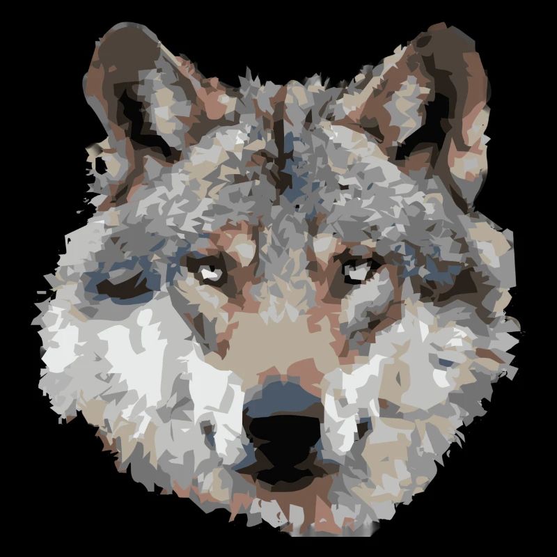 Wolf (grau)