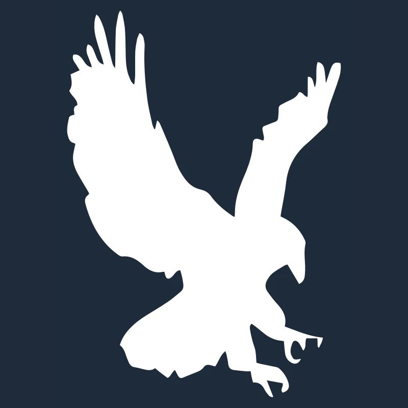 Eagle in a swoop