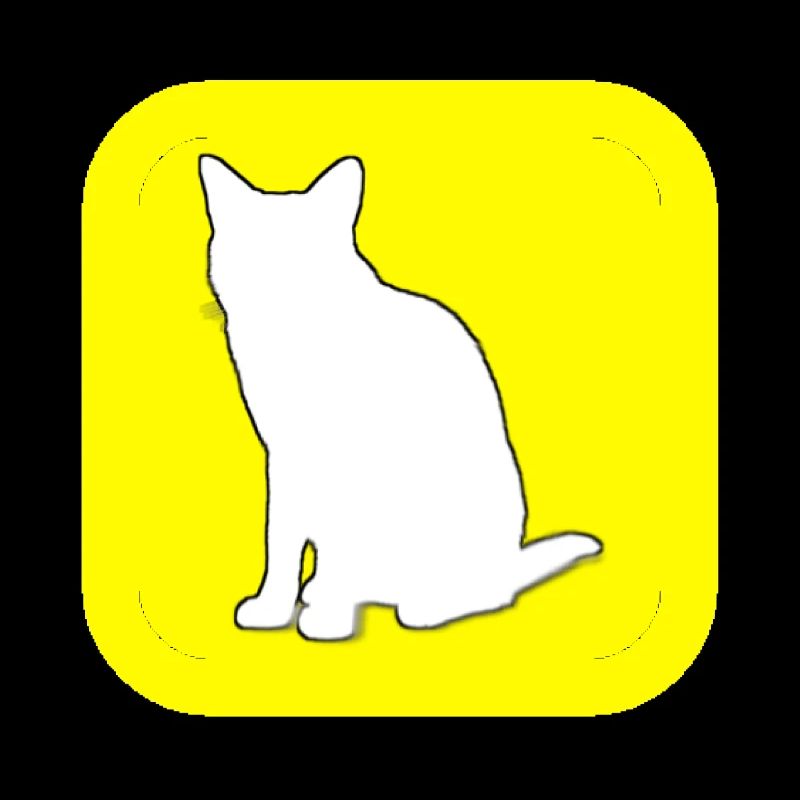 SnapChat (te) (gioco di parole francese)