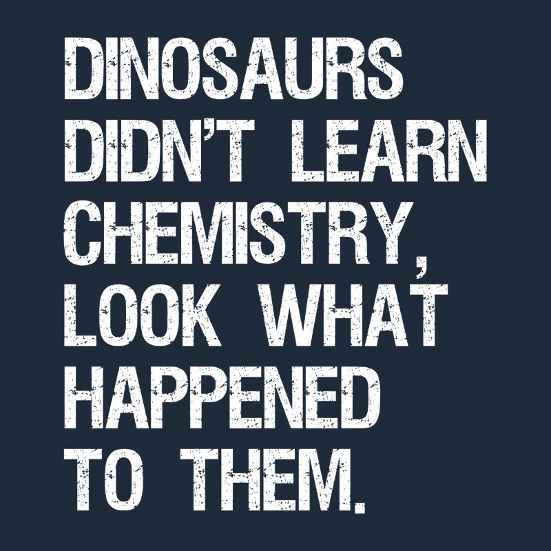 Dinosaurs Didn't Learn Computer Science Funny