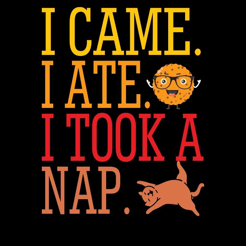 I came ate took a nap