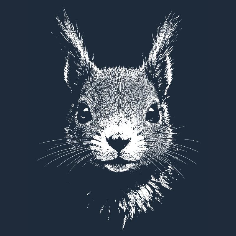 Eichhörnchen