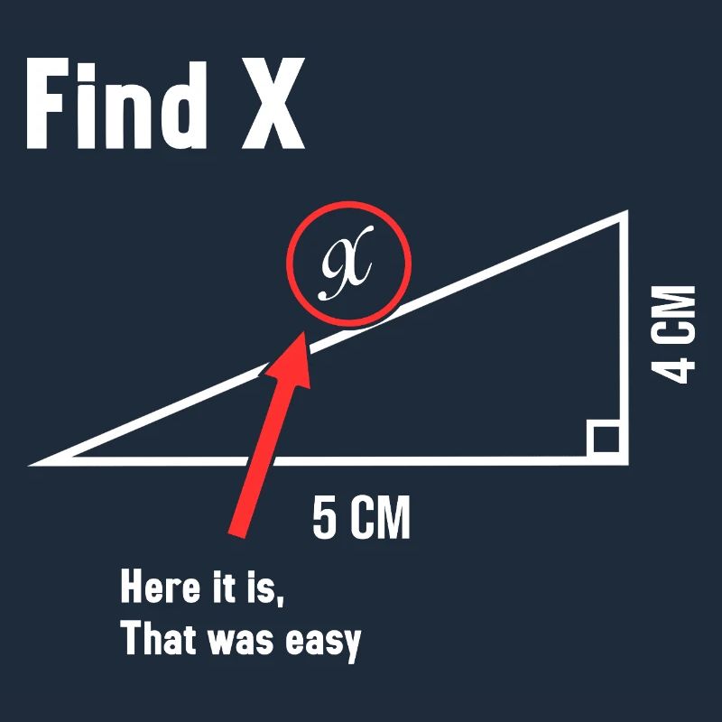 Trouver X Math Lover Mathématicien Professeur de mathématiques