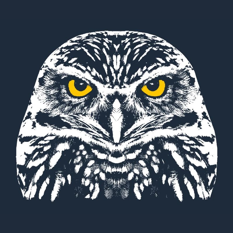 Owl with shining eyes
