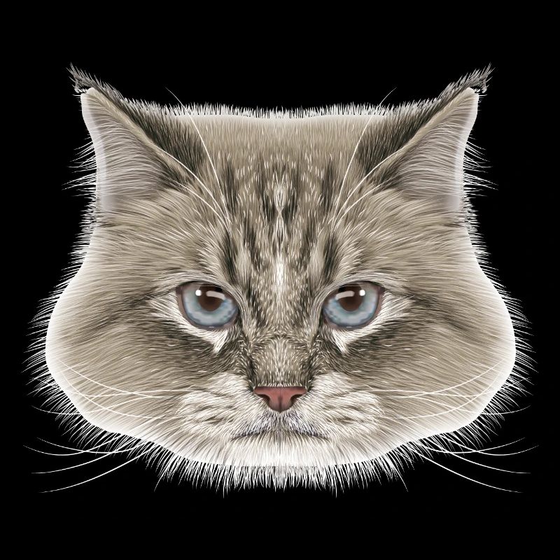 Siberian Cat