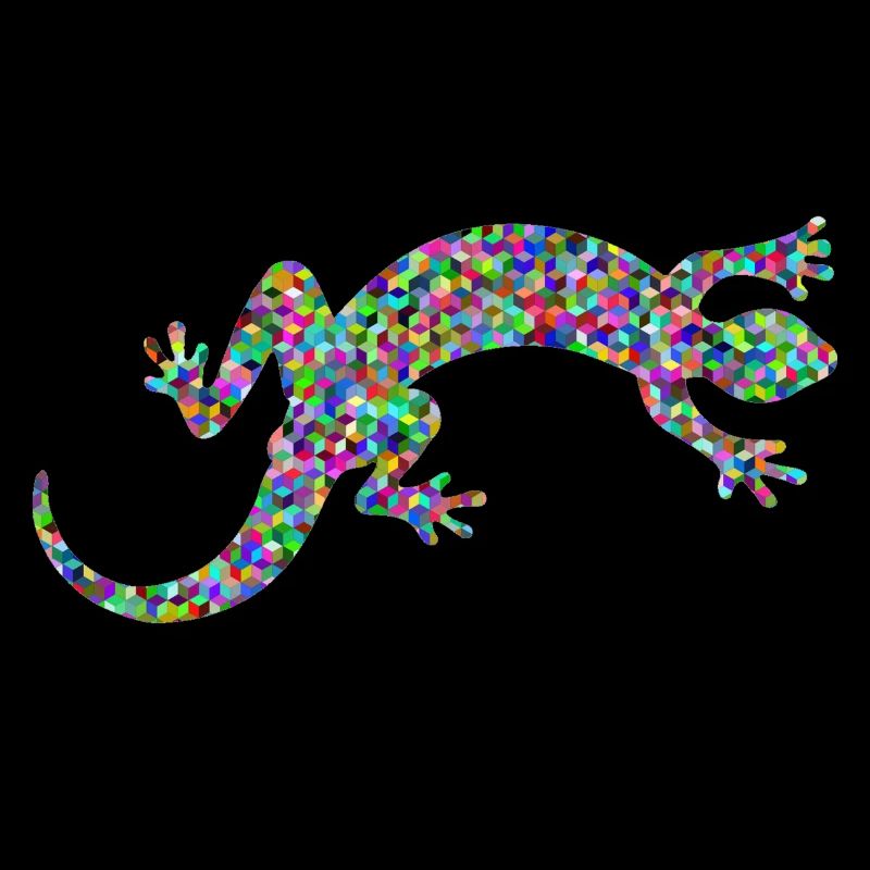 Gecko, salamandre, concours de modèles
