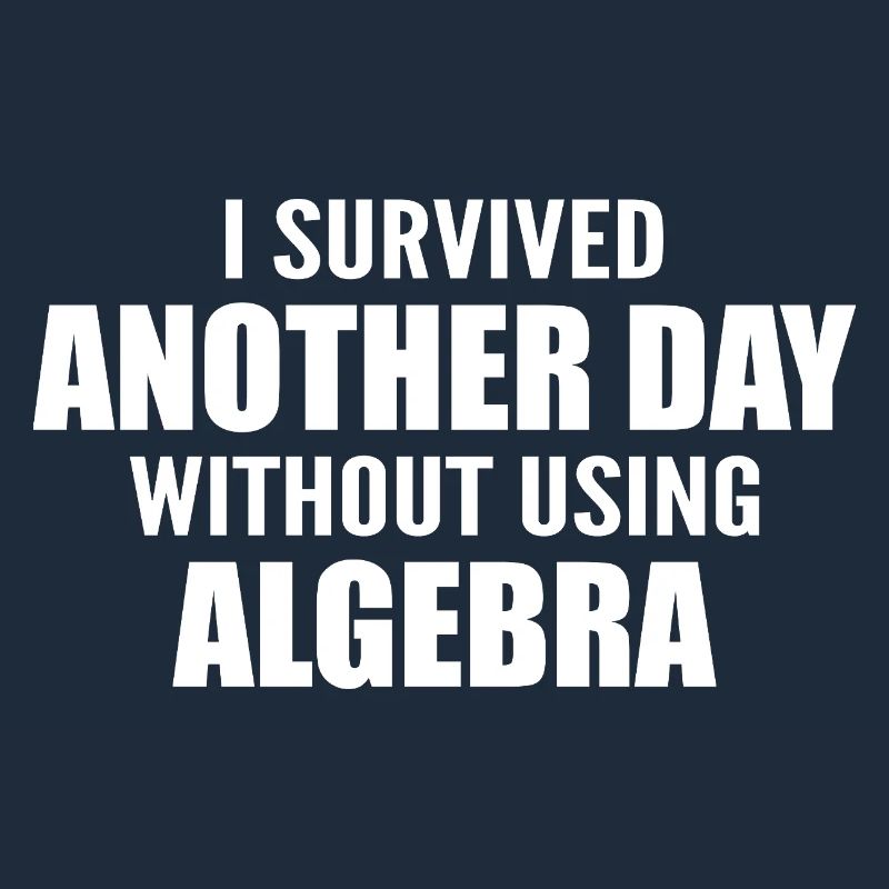 I survived without doing algebra today