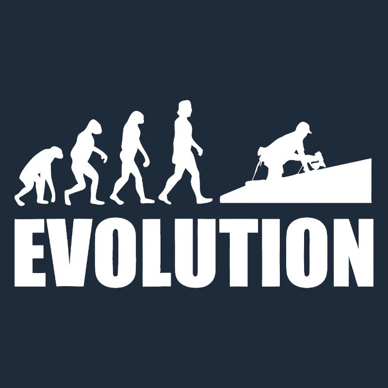 Evolution to Innovation