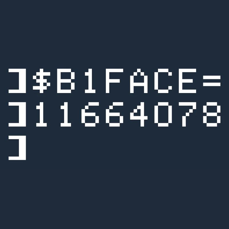B1FACE Biface Code hexadécimal 8 bits Geek