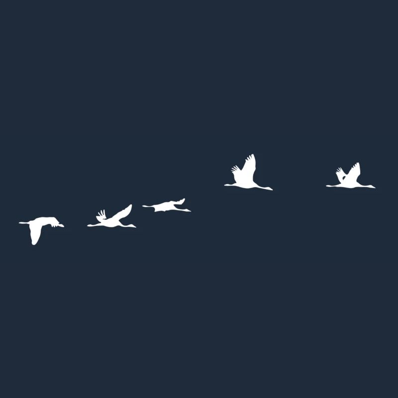 Oiseaux migrateurs blanc grue