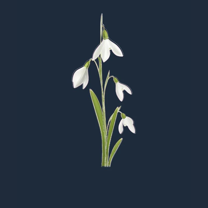 Snowdrop