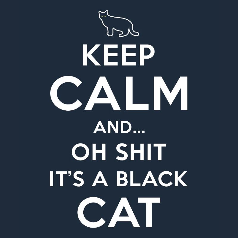 Superstition Chat Noir
