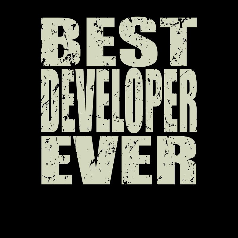 Best Developer ever Developer Gift