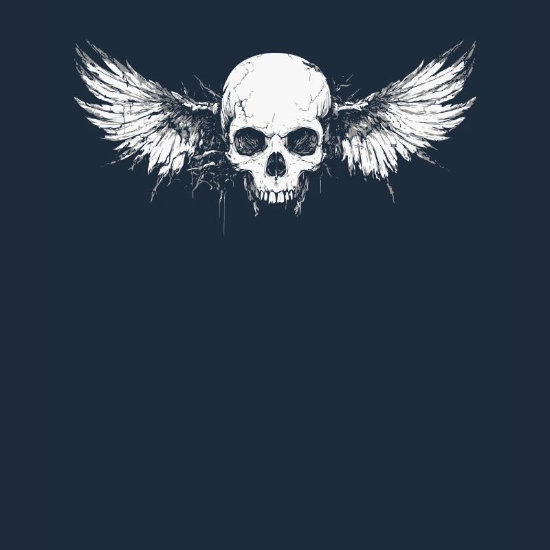 Skull with wings for bikers – crack design