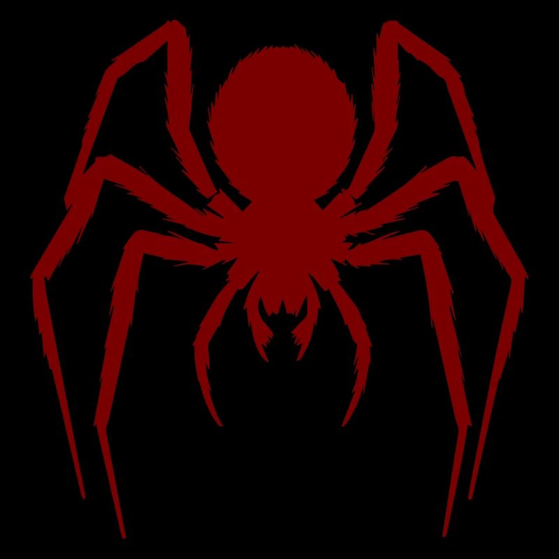 Haarige Spinne