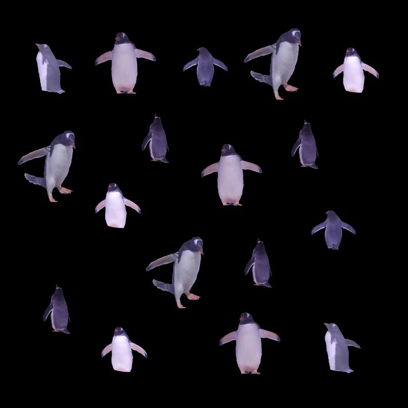 penguins