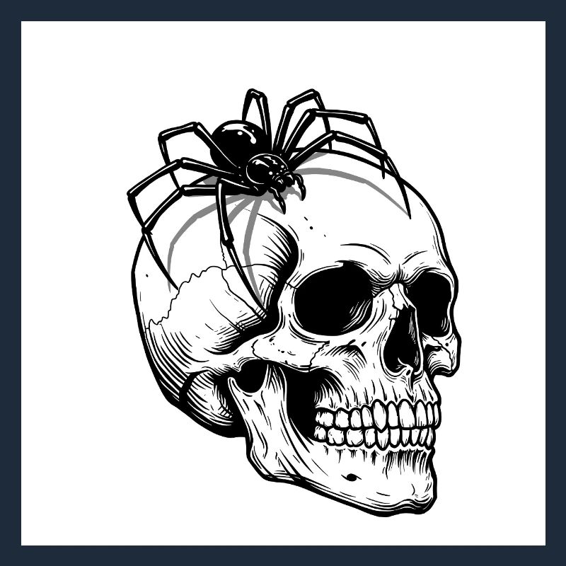 Skull & Spider - When Death Crawls