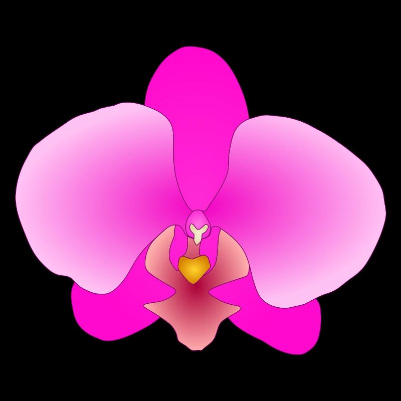 pink orchid
