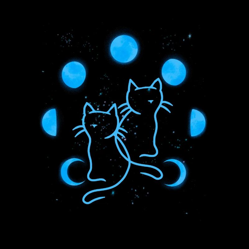 Cat Cats Moon Moon Phases