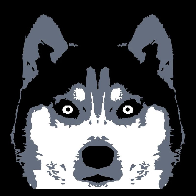 chien blanc husky visage tête belle race cool