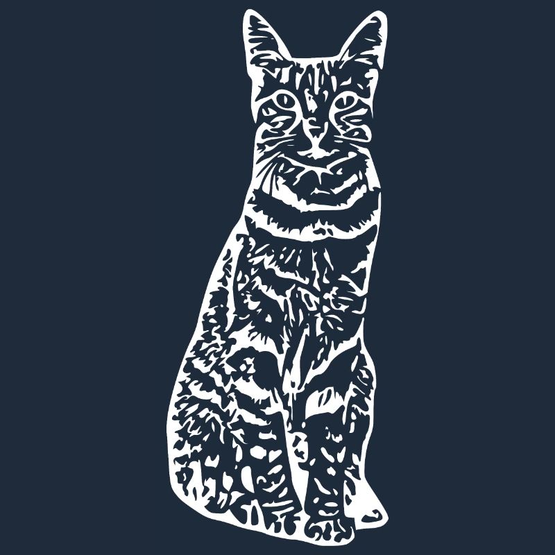 Chat chat chaton