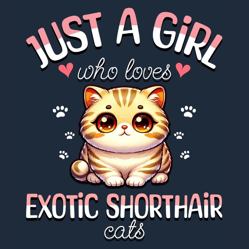 Mädchen Liebt Katze Exotisch Kurzhaar