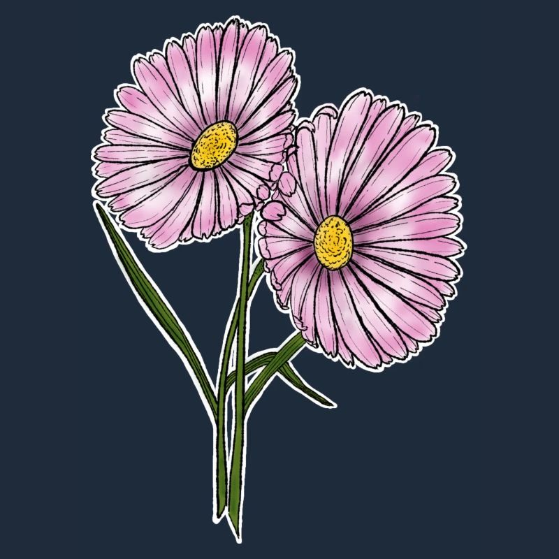 Gänseblümchen