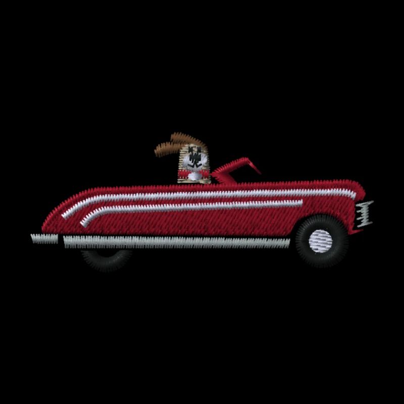 Auto mit Hund