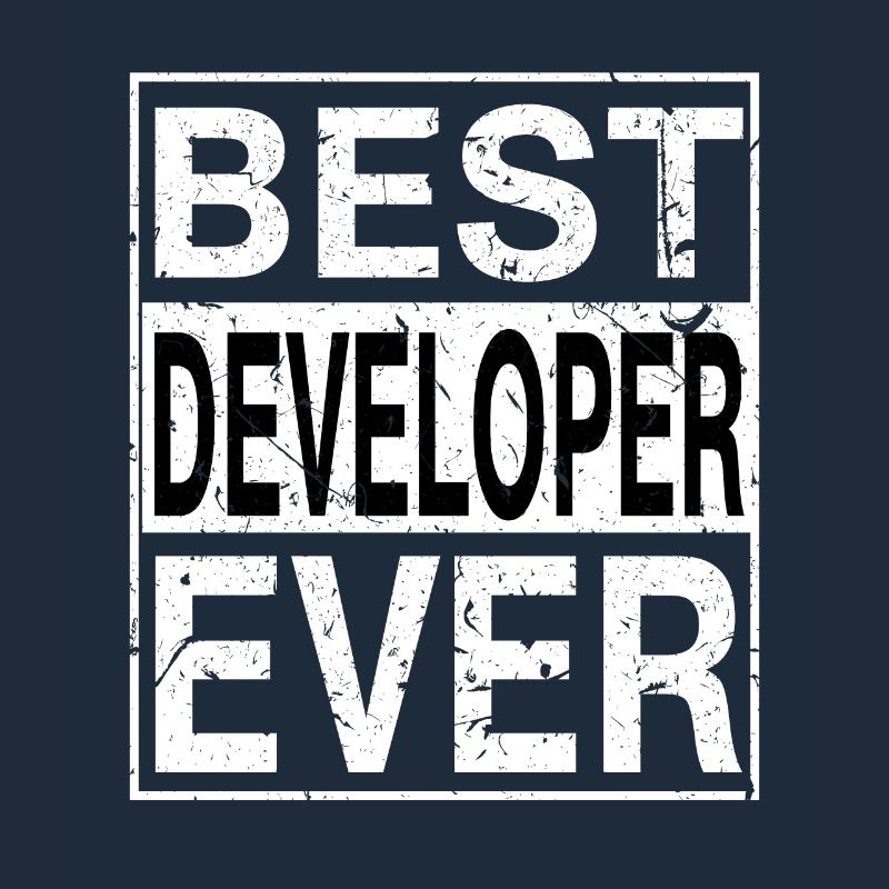 Best Developer Ever Developer Gift