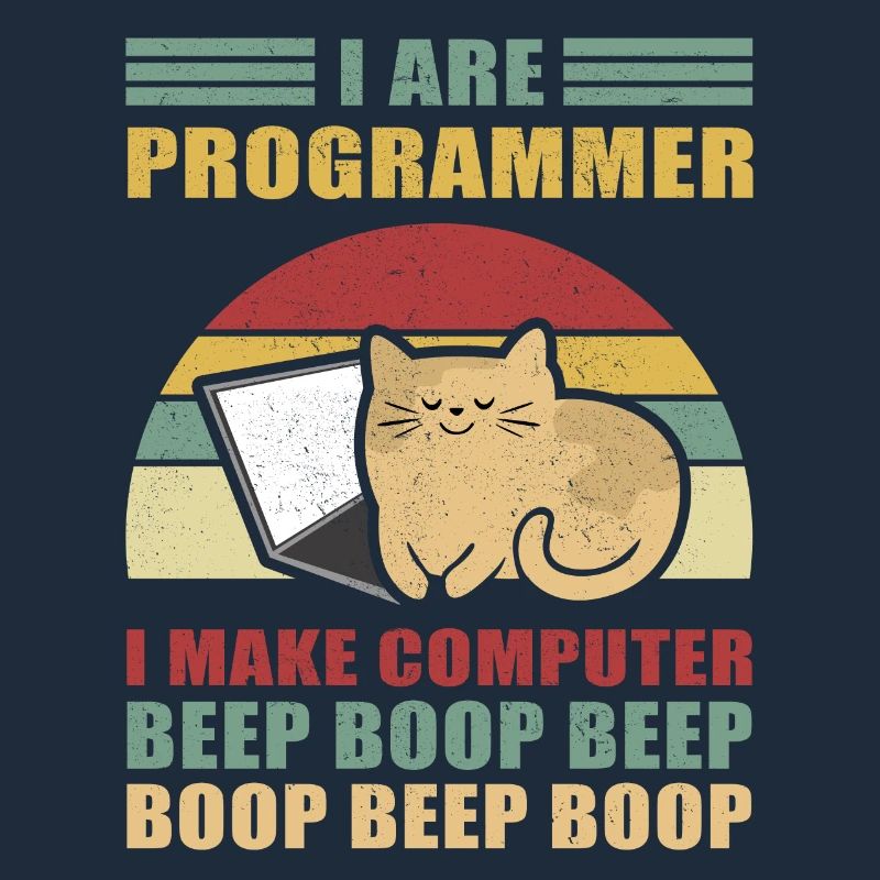 Programmierer Geschenk Admin Computer Informatiker