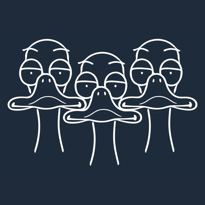 Three funny ducks