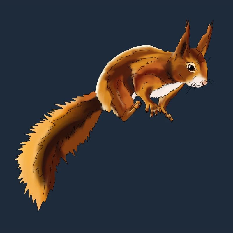 Eichhörnchen 1